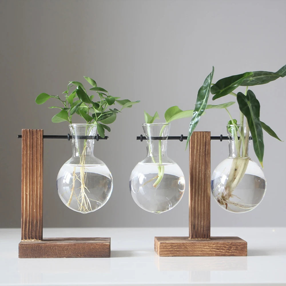 Timber & Glass Propagation Station