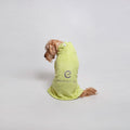 Essential Dog Bamboo Bathrobe | Green