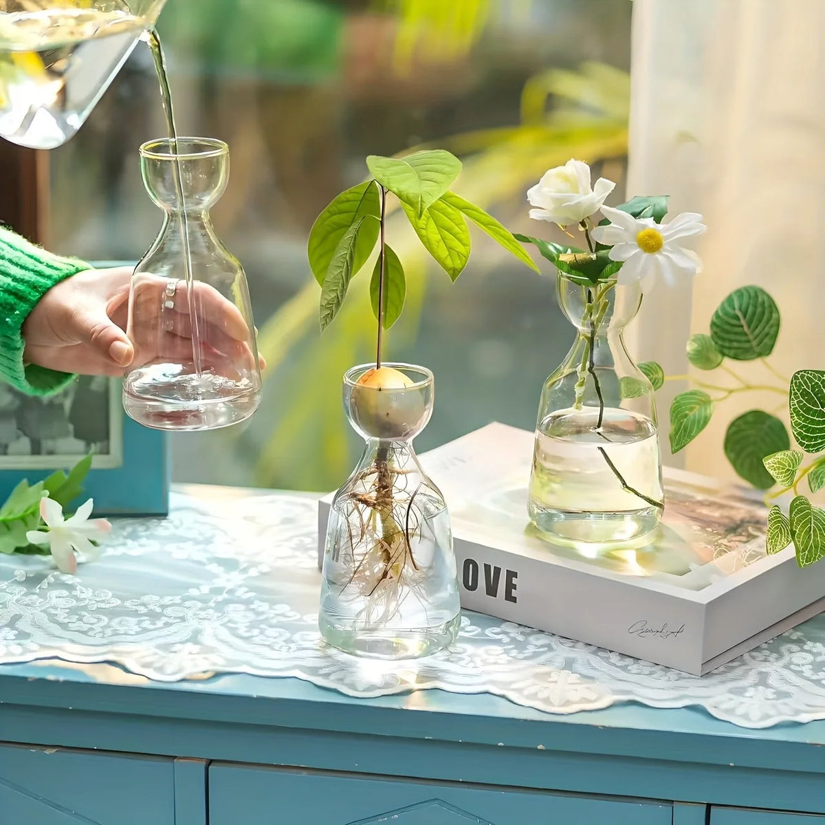 Glass Avocado Seed Vase
