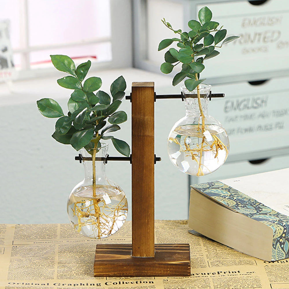 Timber & Glass Propagation Station