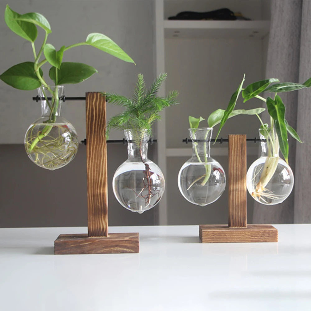 Timber & Glass Propagation Station