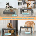 Adjustable Raised Pet Feeder | Two Stainless-Steel Bowls