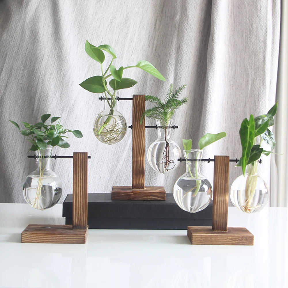 Timber & Glass Propagation Station