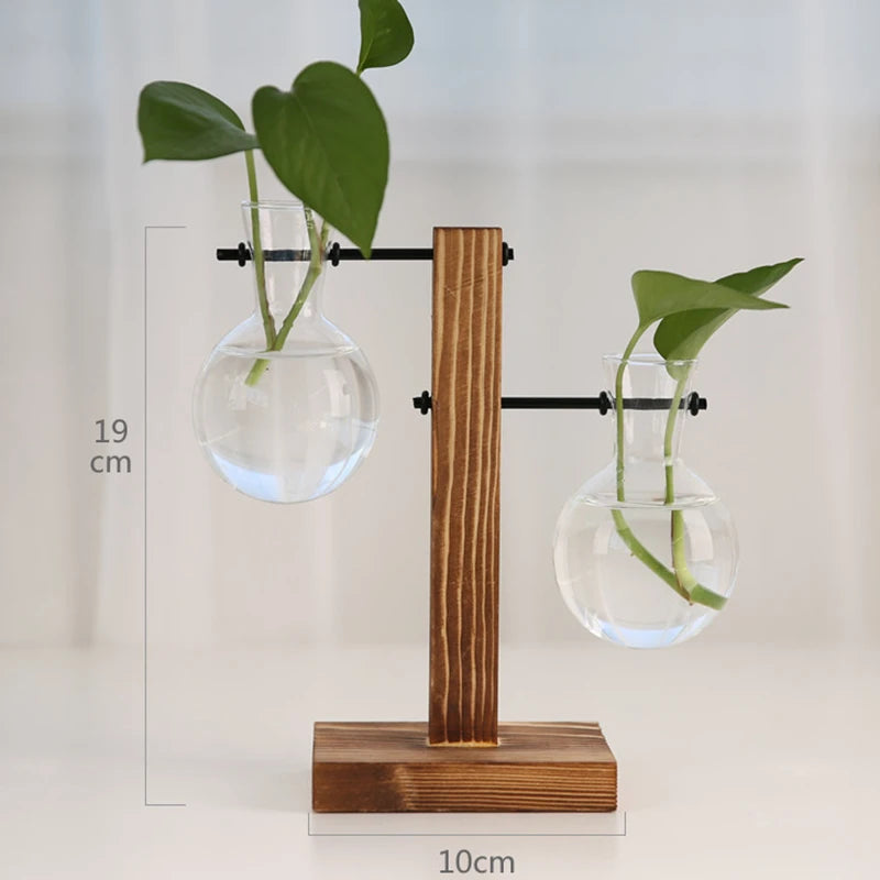 Timber & Glass Propagation Station