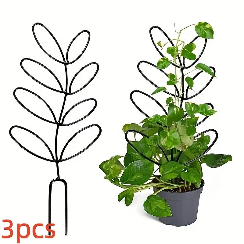 Mini Climbing Plant Trellises | Set of Three