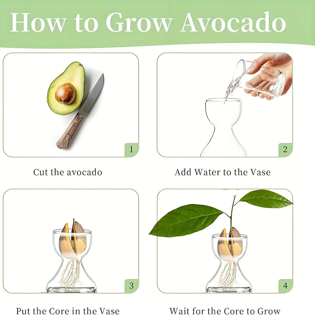 Glass Avocado Seed Vase
