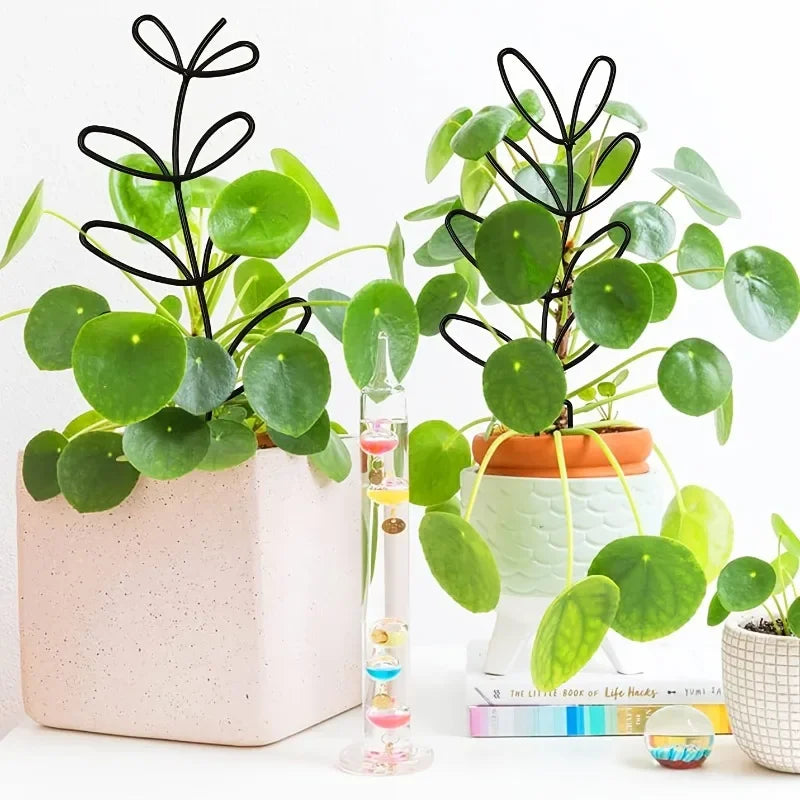 Mini Climbing Plant Trellises | Set of Three