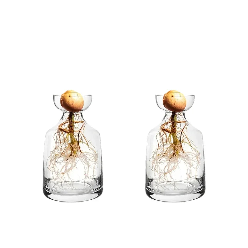 Glass Avocado Seed Vase