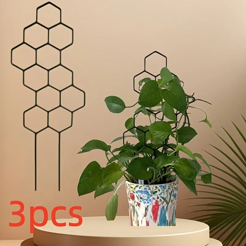 Mini Climbing Plant Trellises | Set of Three