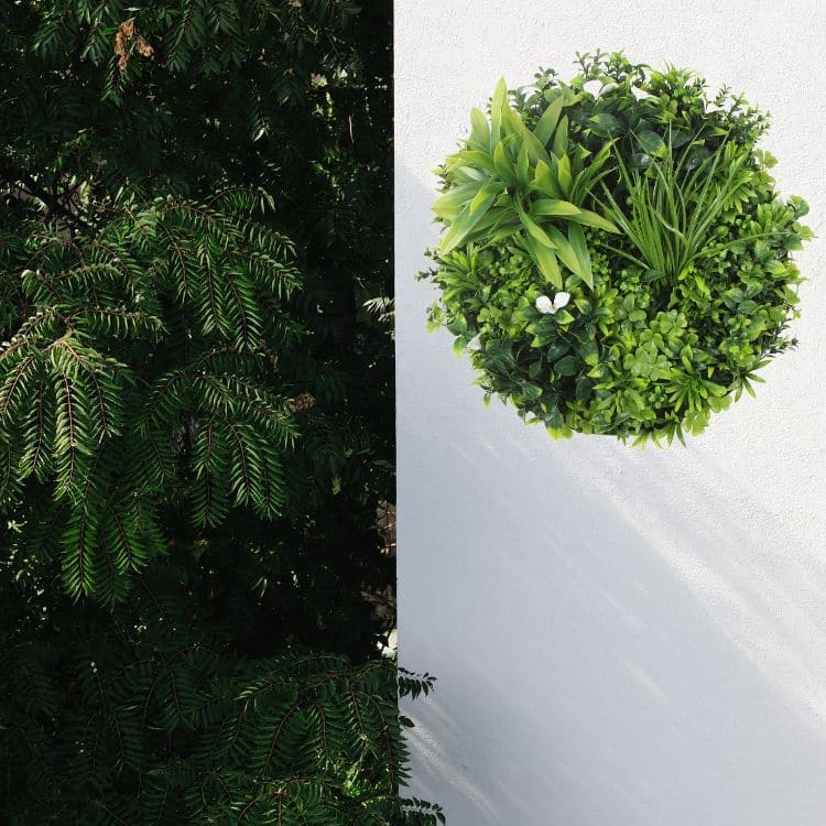 Flowering White Artificial Green Wall Disc UV Resistant 50cm (Black Frame)