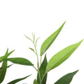 Artificial Eucalyptus Tree | 120 cm