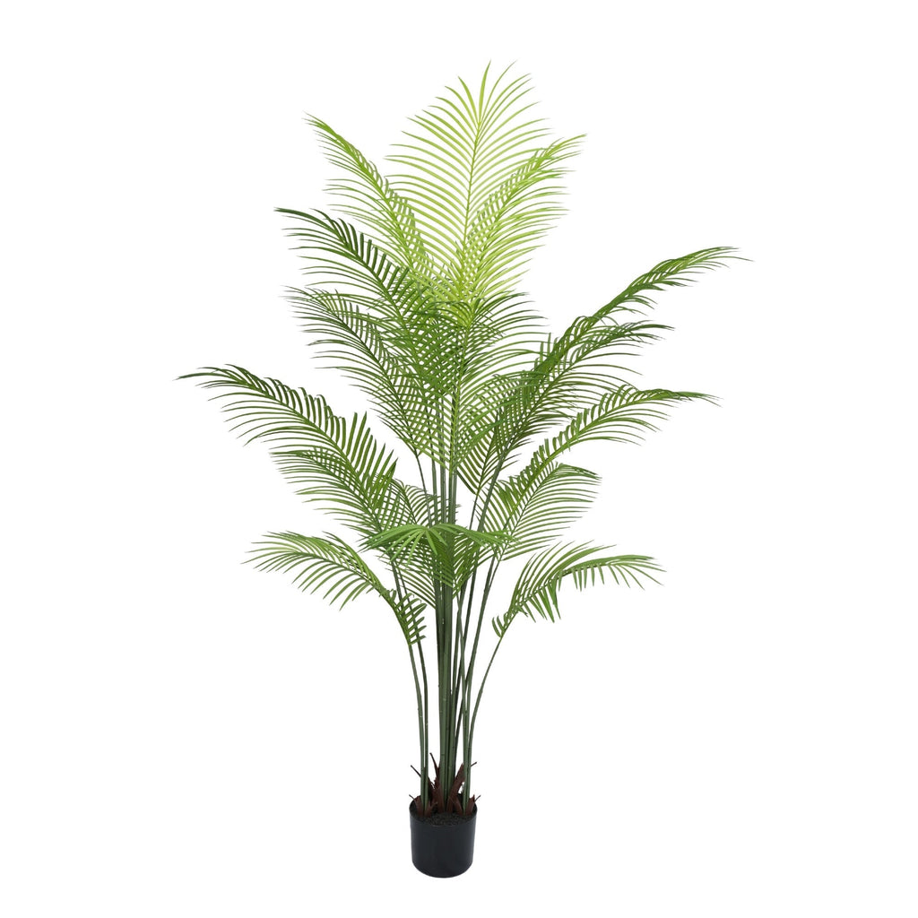Artificial Areca Palm Tree 180cm (Dense and Realistic)
