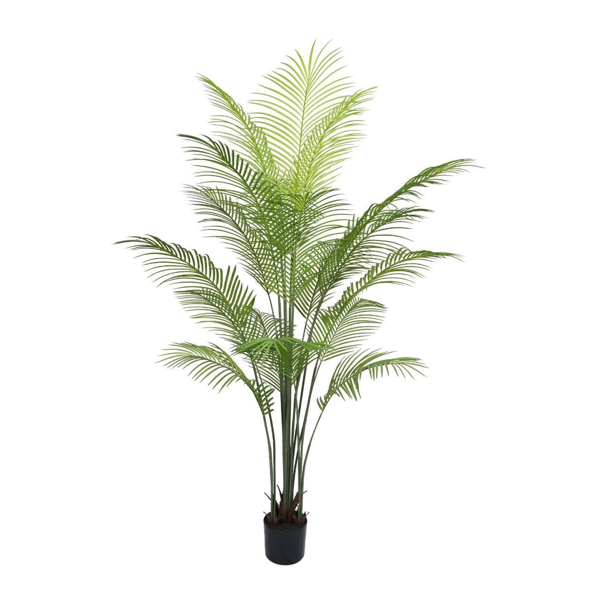 Artificial Areca Palm Tree 180cm (Dense and Realistic)