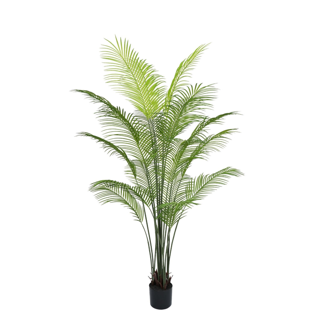 Artificial Areca Palm Tree 180cm (Dense and Realistic)