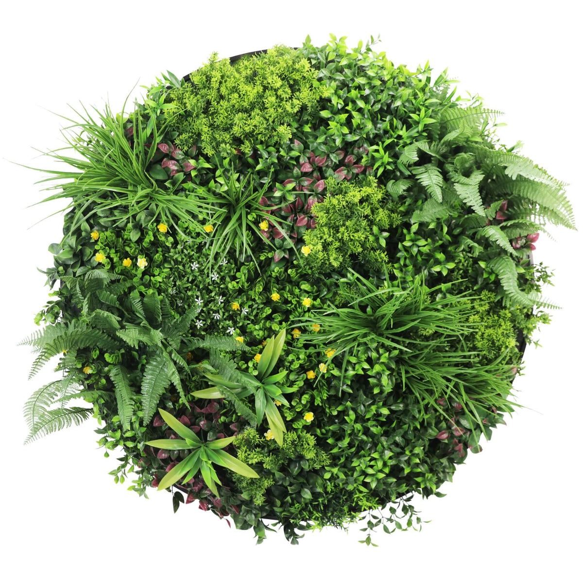 Slimline Artificial Green Wall Disc Art 100cm Country Fern UV Resistant (Black)