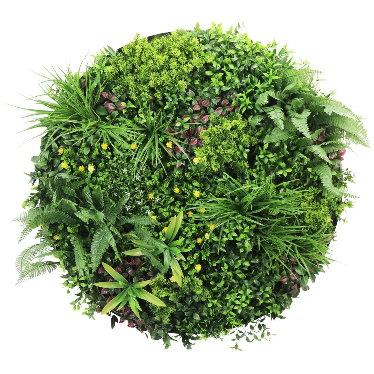 Slimline Artificial Green Wall Disc Art 100cm Country Fern UV Resistant (Black)