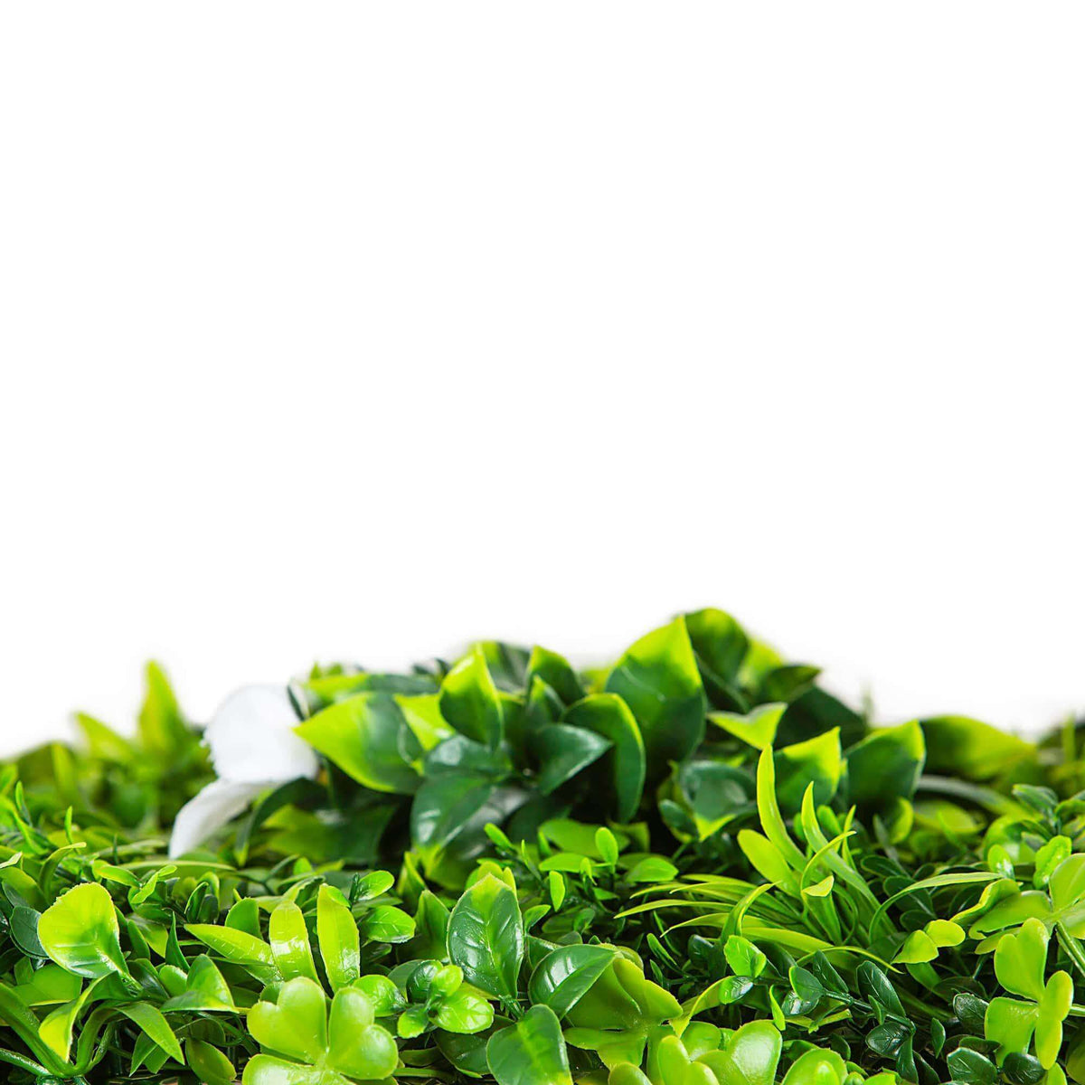 Luxury White Lily Vertical Garden Green Wall Panel 1m x 1m – SGS UV Resistant
